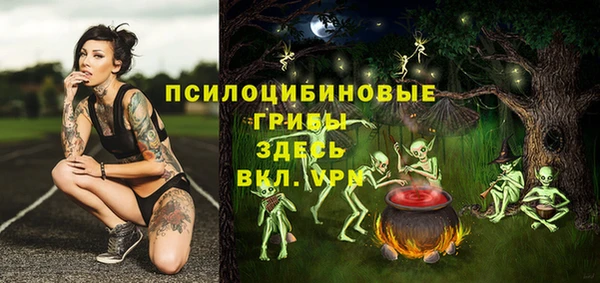 прущий лед Армянск